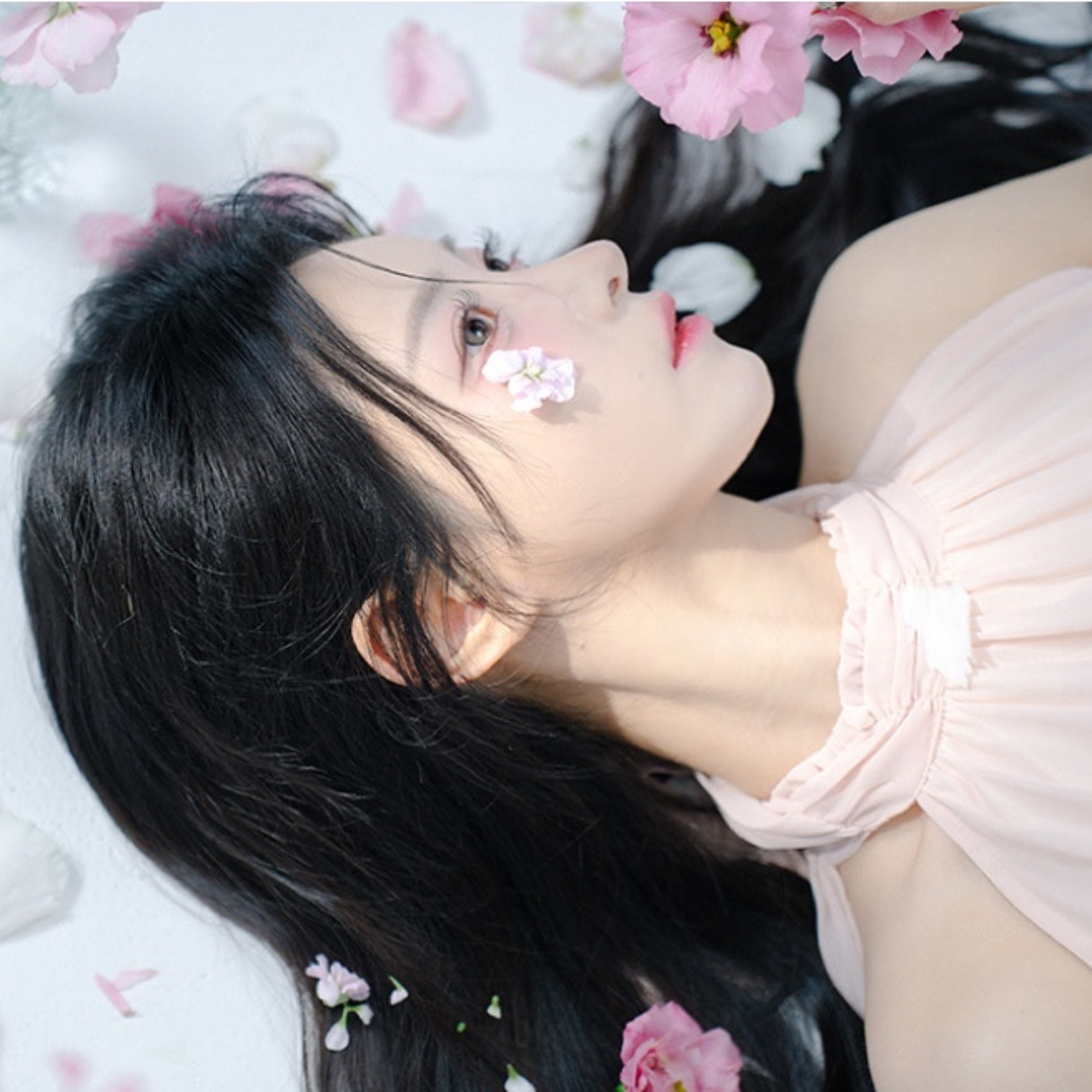 ✨한로아✨（erurida72）