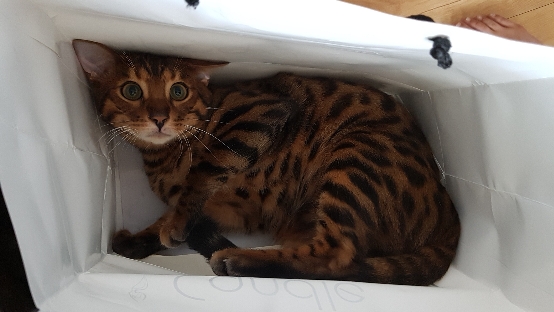 [J]스치면임신♥