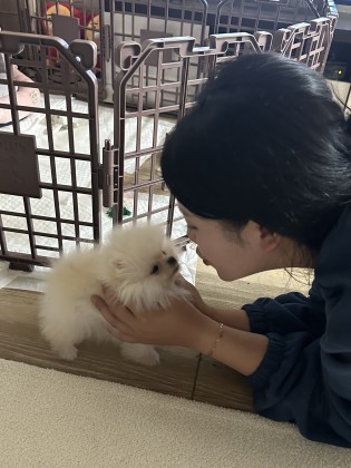 비주（nsskk1278）