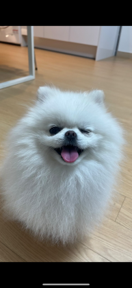 초초리♥