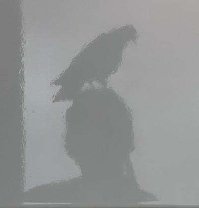 EH은하