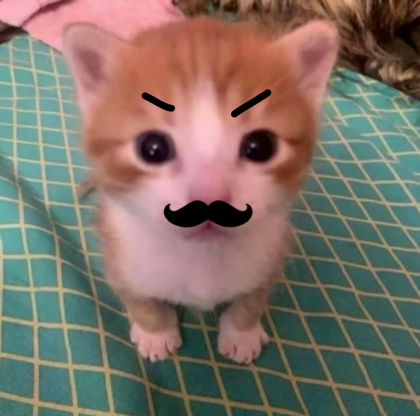 진짜삼삼이（332vlr）