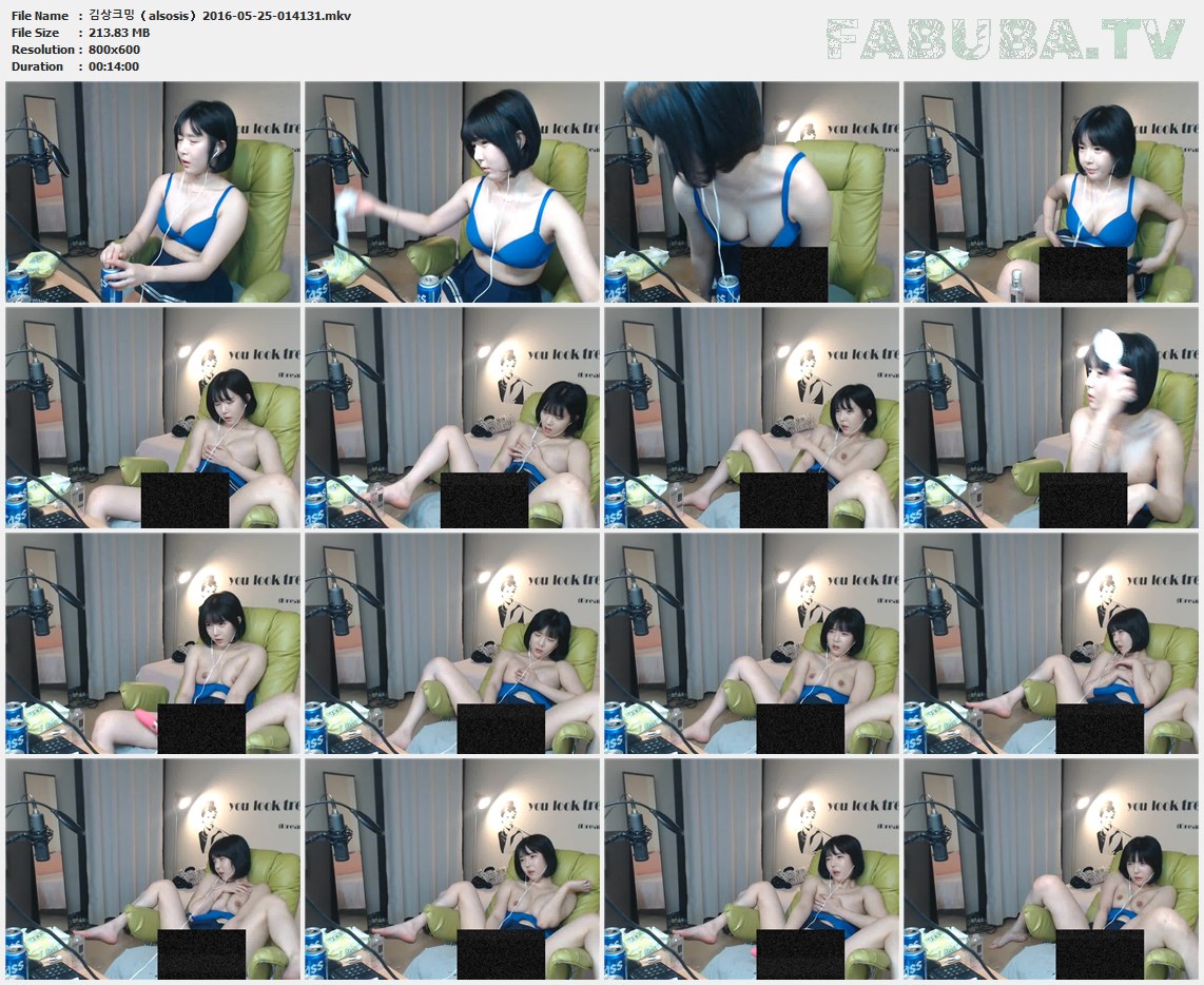 김상크밍（alsosis）2016-05-25