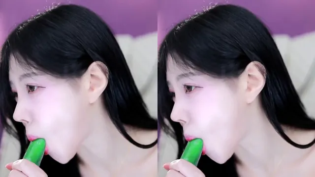 [RM]레미（fpal0915）260311