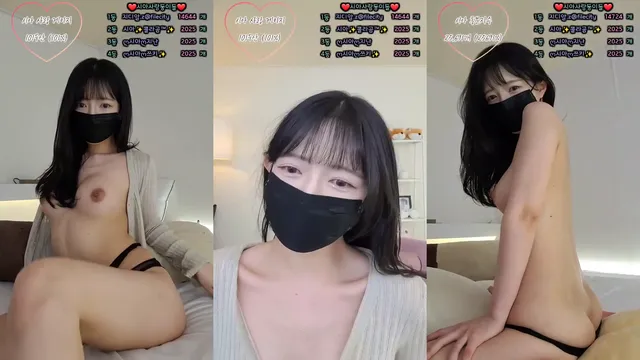 ღ시아ღ（sia0001）250101
