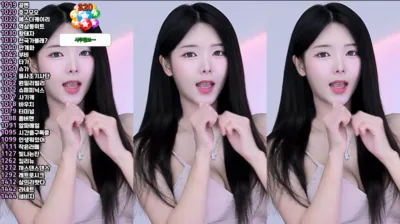 ♡혜밍（dign1461）241022