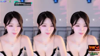♡혜밍（dign1461）241226