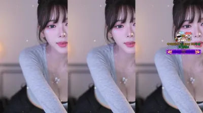 ♡혜밍（dign1461）250408