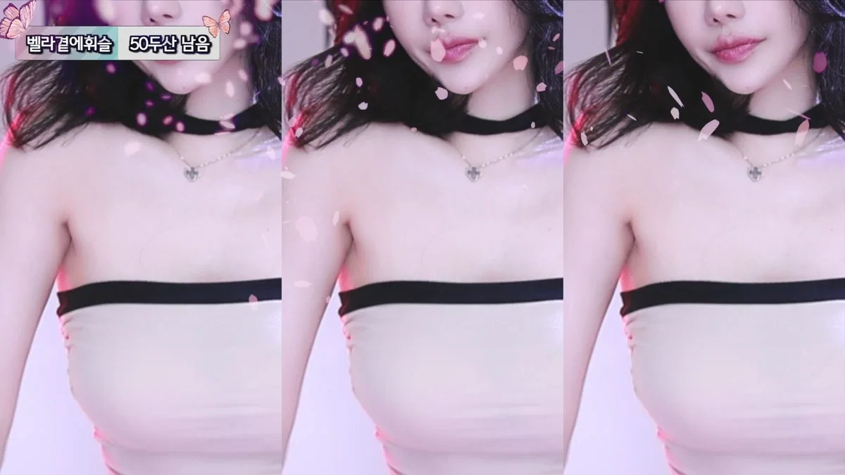 ♥벨라♥（nanaringhi）260316