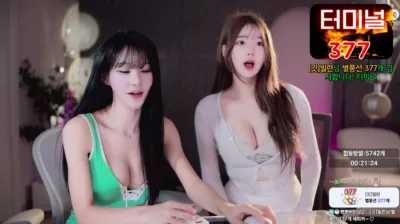 갓세희sehee（godsehee）250211