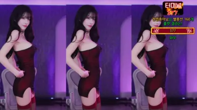 갓세희sehee（godsehee）250606