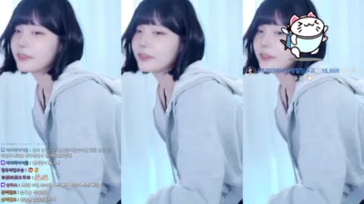고라니율S2（golaniyule0）240711