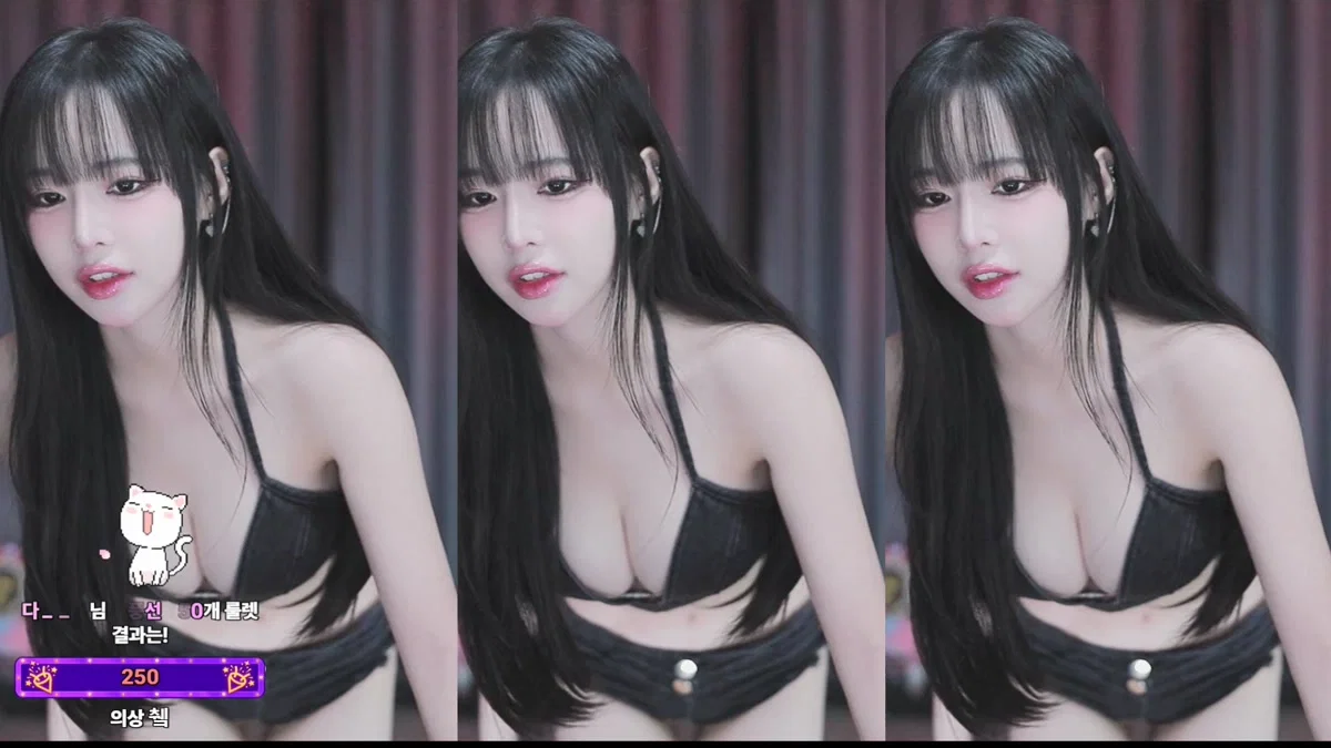 도라미♥（navi04）260321