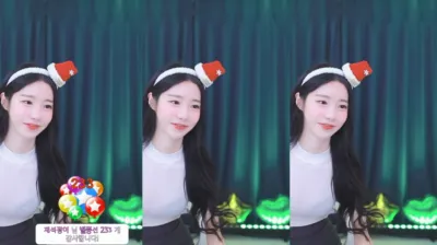 도화[♡]（dohhwa1）241225