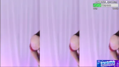 모카♥（peachya）241224