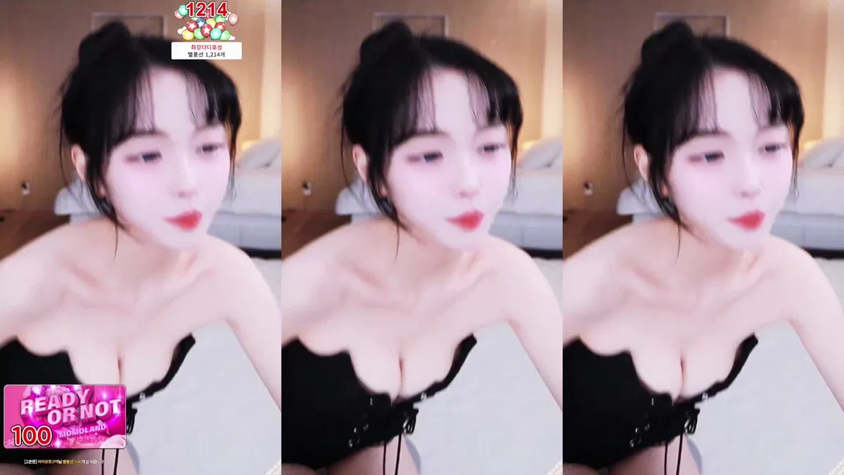 미또!（gkr17311）260214
