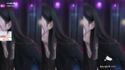 미로。（fhwm0602）241208