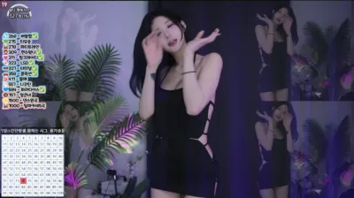 박틸다（tildaaa）241001