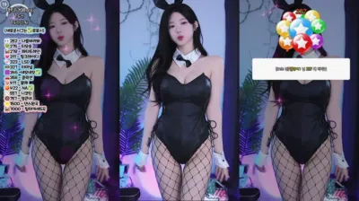 박틸다（tildaaa）241109