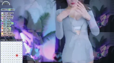 박틸다（tildaaa）241113