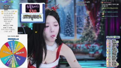 박틸다（tildaaa）241223