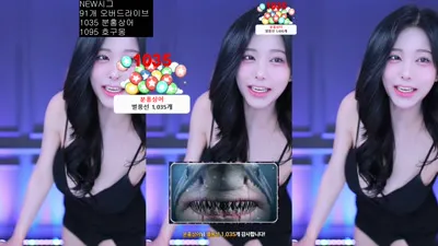 백나현（wk3220）251228