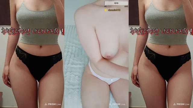 백다인（jjxx00）250522