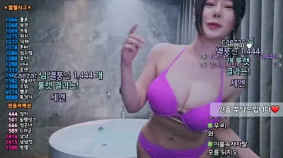 백하얀（sikk777）240814