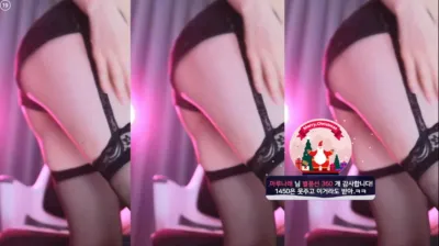 복순（zkzk9885）241108
