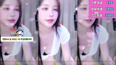 붓잽이（km5430678）240520