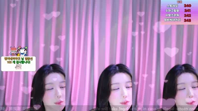 붓잽이（km5430678）240609