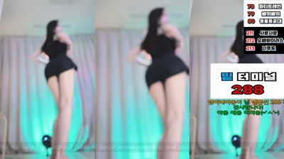 붓잽이（km5430678）241015