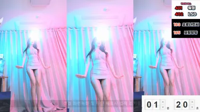 붓잽이（km5430678）241109