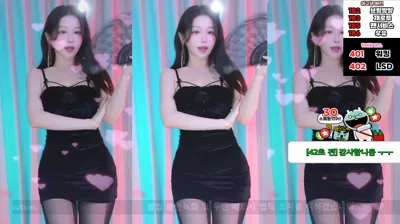 붓잽이（km5430678）241112