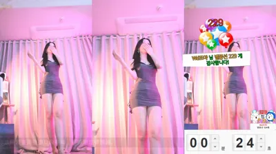 붓잽이（km5430678）241124