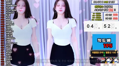 붓잽이（km5430678）251024