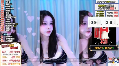 붓잽이（km5430678）251111