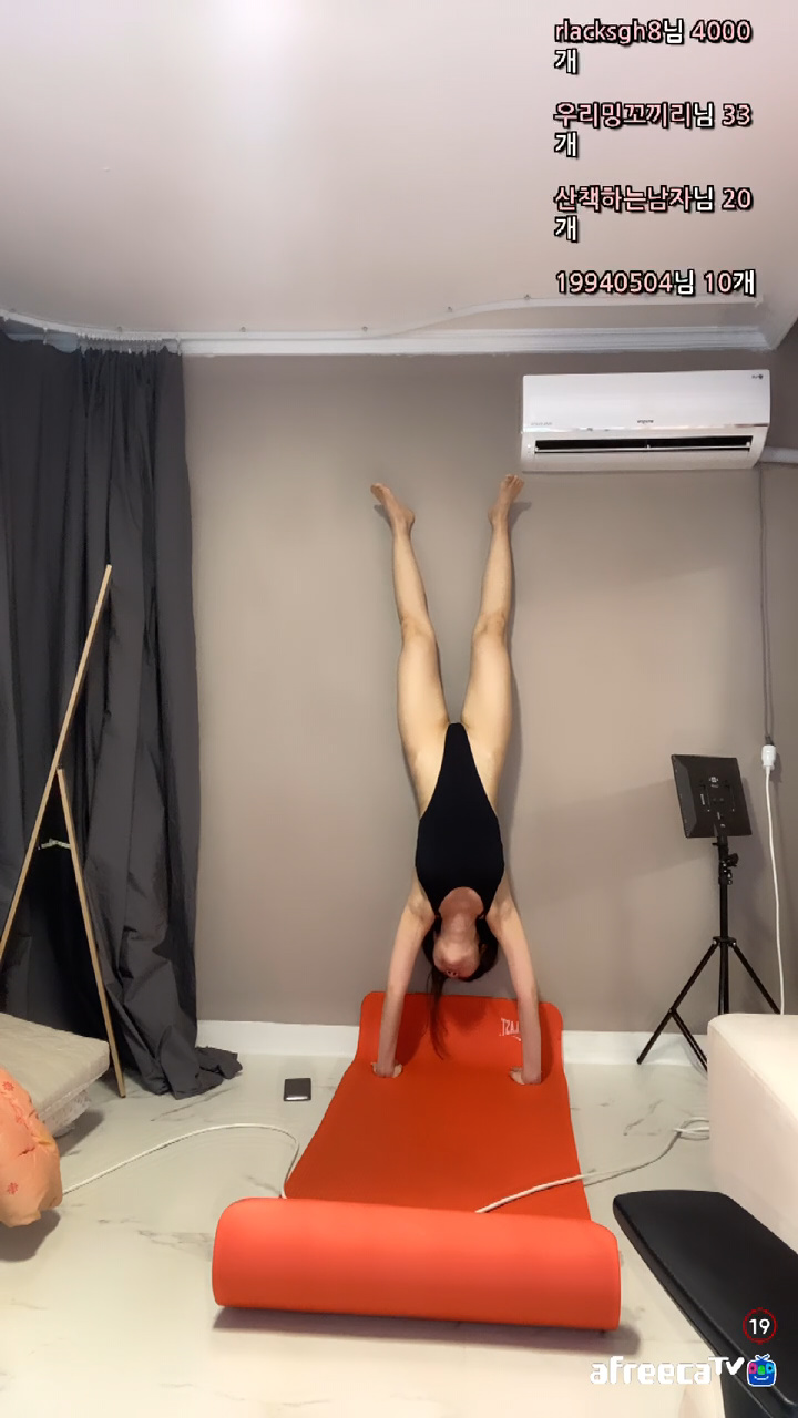 상추（tkdcb9）250622