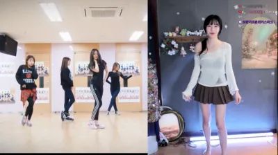 수련수련（sooflower）231215