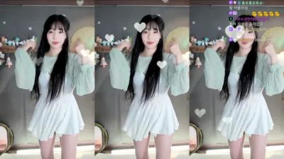 수련수련（sooflower）231229