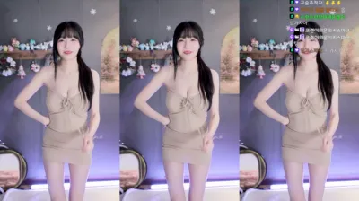 수련수련（sooflower）240106