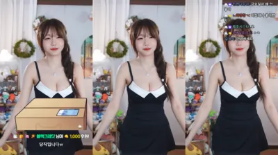 수련수련（sooflower）250102