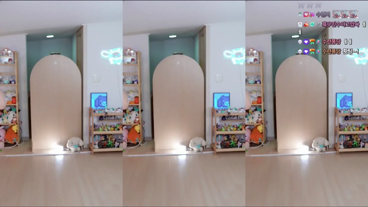 수련수련（sooflower）260306