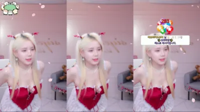 시연p（joahe2）241226