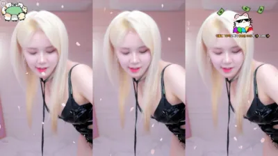 시연p（joahe2）250204