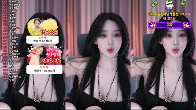 쑤지（tnwl9630）250912