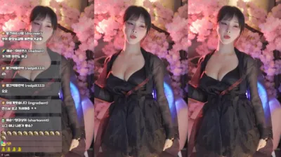 애순이（yunyeson3015）240211