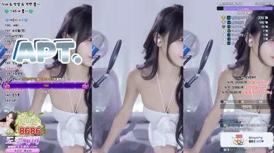 애순이（yunyeson3015）250808