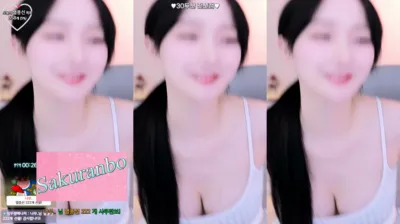 우정X4（wjl9908）240804