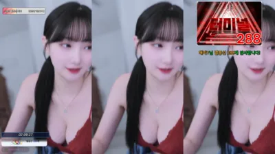 우정X4（wjl9908）250115